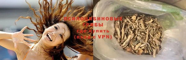 эйфоретик Бородино