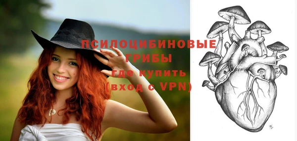 бутират Бугульма