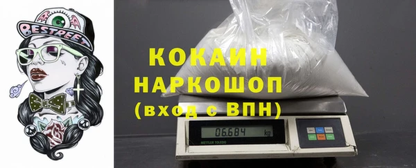 эйфоретик Бородино