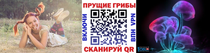 Псилоцибиновые грибы мухоморы  даркнет сайт  Можайск 